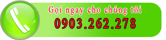 Call to Cứu Hộ Hà Nội